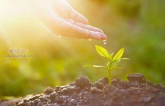 论文研究价值和应用价值的区别