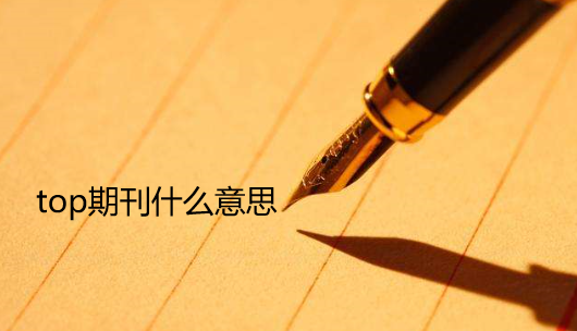 top期刊什么意思