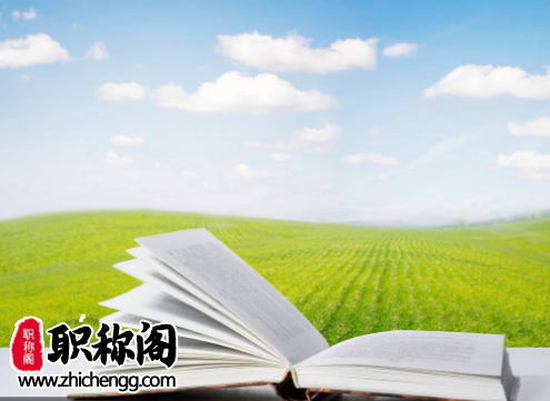 副高职称和副教授一样吗