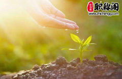 期刊影响因子对评职称有影响吗