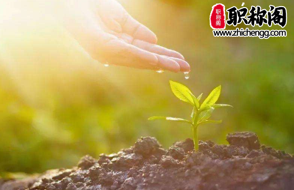 期刊影响因子对评职称有影响吗