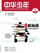 中华少年杂志是什么级别的期刊