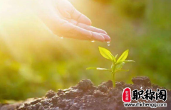 吉林省卫生专业高级职称评审论文要求