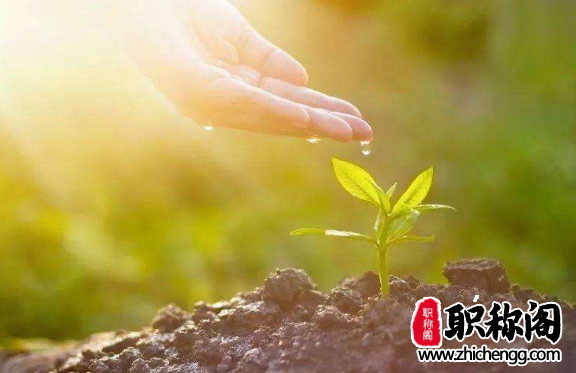 吉林省卫生专业高级职称评审论文要求