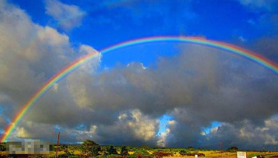 比较快的中文光学期刊有哪些