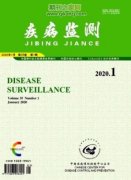 乡镇医院晋级副高认可的期刊