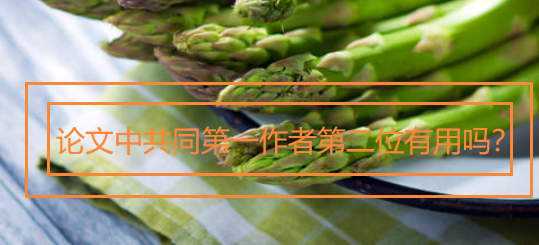 论文中共同第一作者第二位有用吗