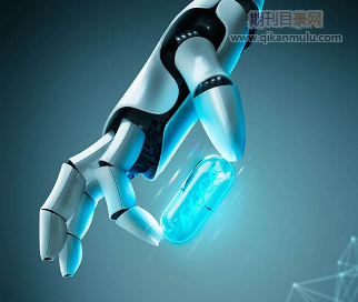 毕业论文双盲审什么意思