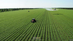 评职称的论文需要收录在哪里