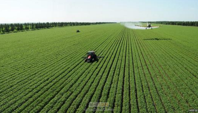 评职称的论文需要收录在哪里