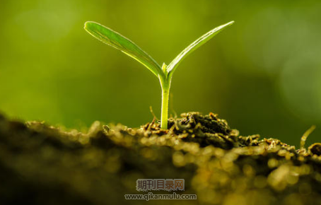 ei期刊如何投稿