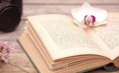 哪能安排少儿编程方向教材出书