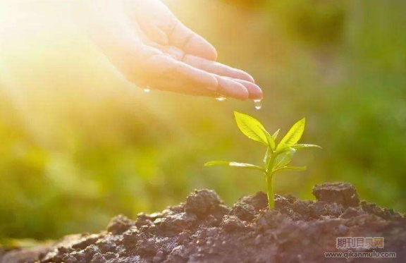 药学副高职称申报条件