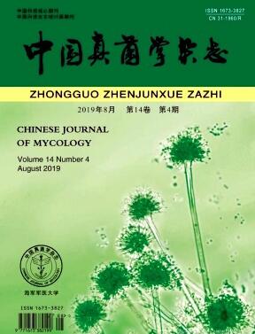 中国真菌学杂志