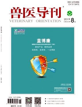 兽医导刊是什么级别