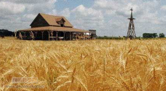 农业研究员评审条件是什么