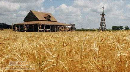 农业研究员评审条件是什么