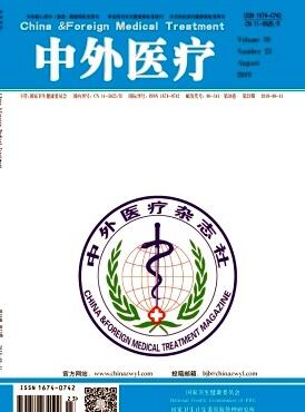 中外医疗是什么级别期刊