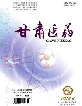 甘肃医药杂志是什么级别