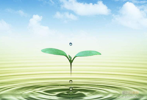 专著出版费用一般是多少