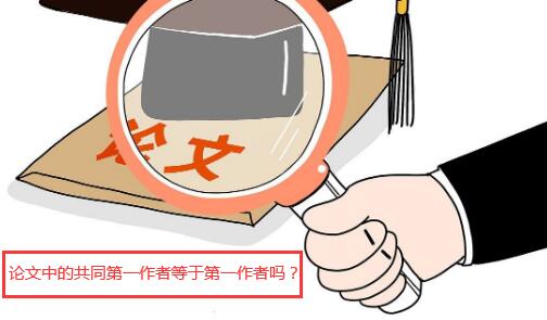 论文中的共同第一作者等于第一作者吗