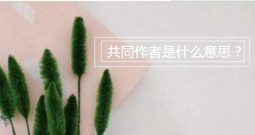共同作者是什么意思