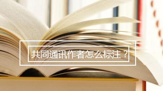 共同通讯作者怎么标注