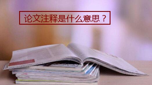 论文注释是什么意思