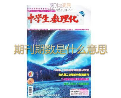 期刊期数是什么意思