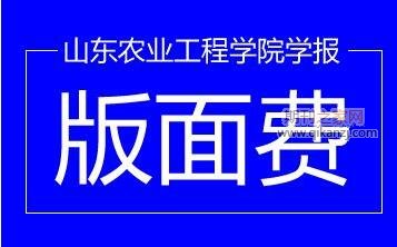 论文版面费