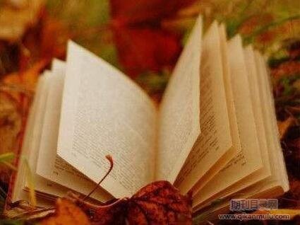 论文开题报告有没有字数要求