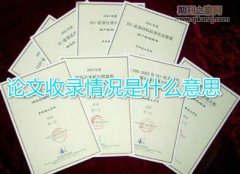 论文收录情况是什么意思