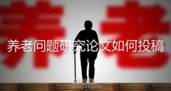 养老问题研究论文如何投