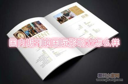 国内期刊的国际影响力