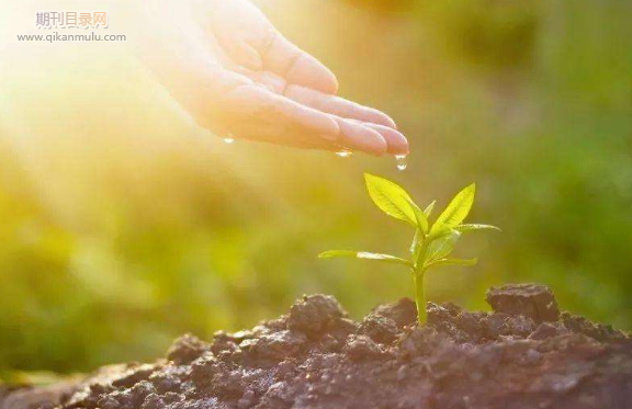 评职称需要什么条件