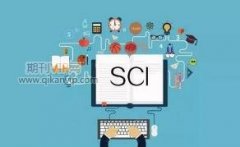 sci润色翻译需要怎么操作