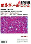 世界华人消化杂志是什么级别