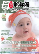 母婴世界杂志什么等级