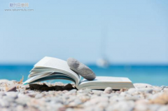 论文正文用几号字体