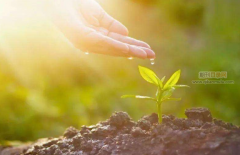 中级工程师职称需准备哪些材料