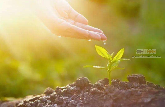 中级工程师职称需准备哪些材料