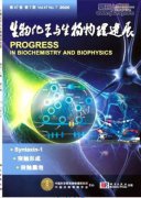 模式识别论文能发sci期刊吗