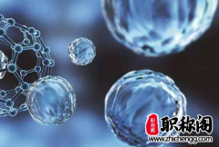 论文一二三作者怎么标