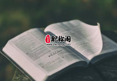 高级统计师评审条件是什么