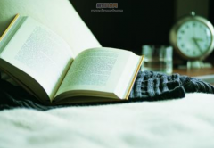 文章编修是什么意思