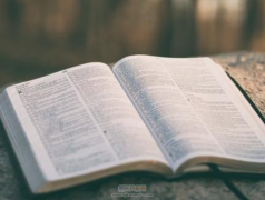 hci期刊是什么意思