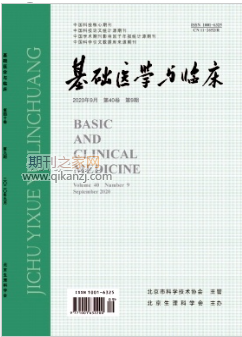 基础医学与临床