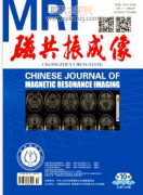 磁共振成像期刊学术水平