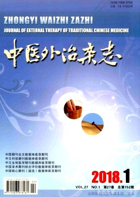 中医外治杂志是什么级别期刊