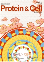 蛋白质与细胞